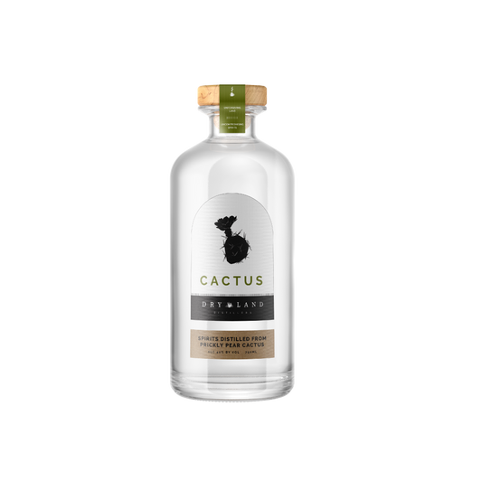 Dry Land Cactus Spirit